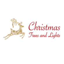 Christmas Trees And Lights
